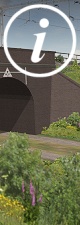 Inset Image