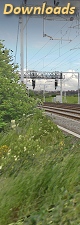 Inset Image